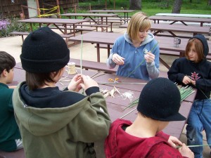 Activities at the Science in the Park