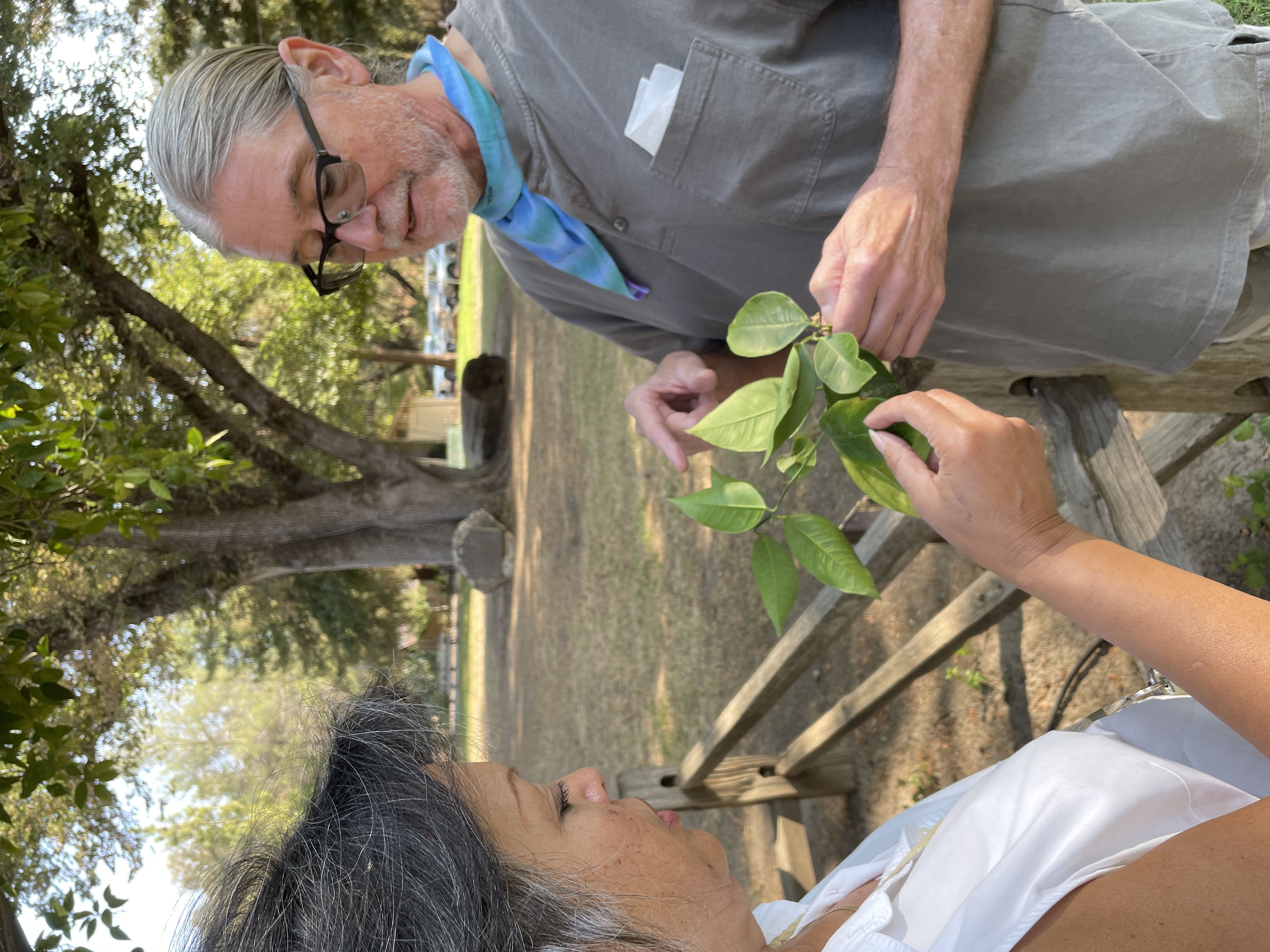 Robert Krueger, Curator and Research Leader from UC Riverside Citrus Valley Collection talks with Peña Adobe Historical Society volunteer, Cricket about the orange tree located at the Peña Adobe Park.