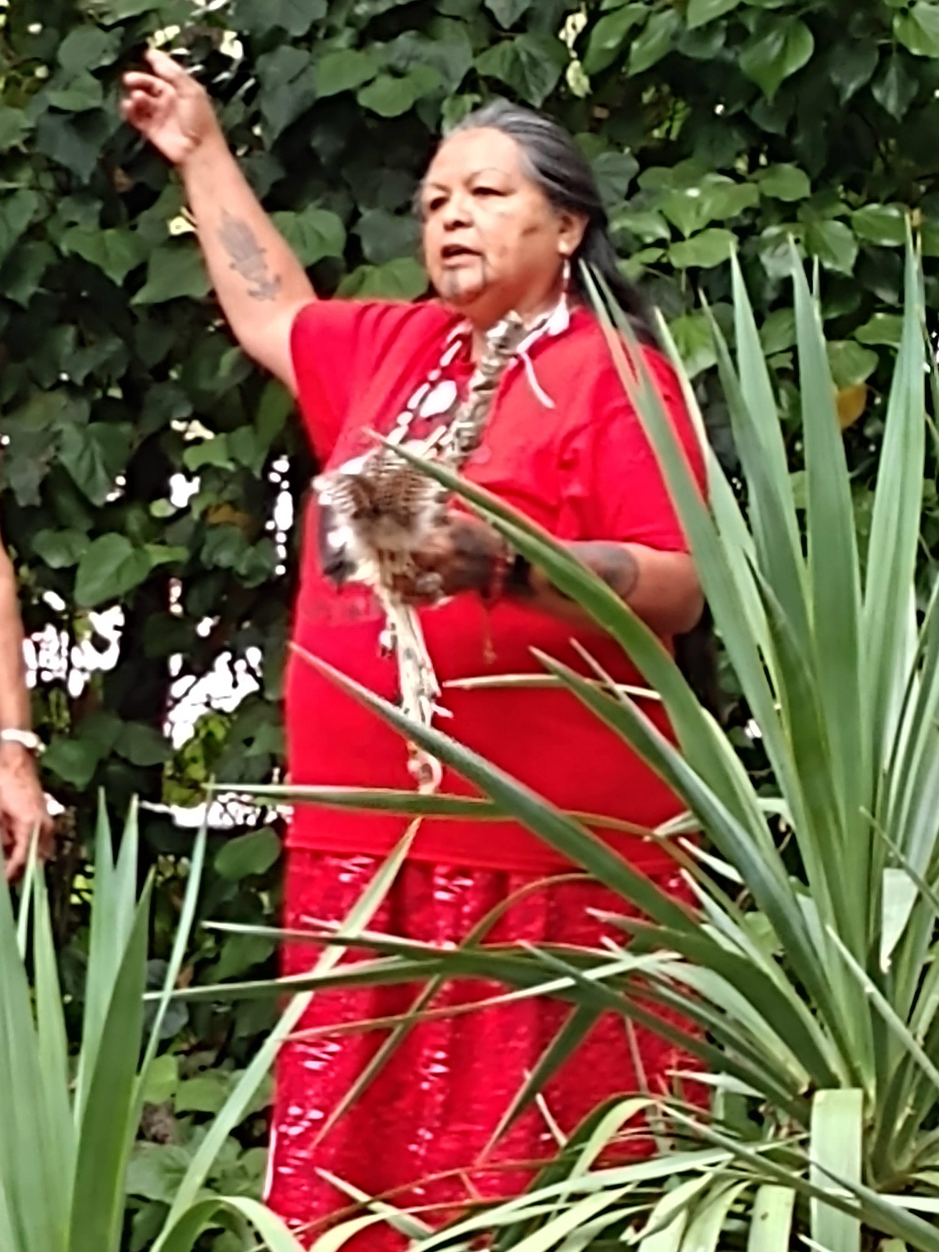 Miwok Tribal Elder, Marge Grow Eppard at the blessing of the Willis Linn Jepson Memorial Garden.  