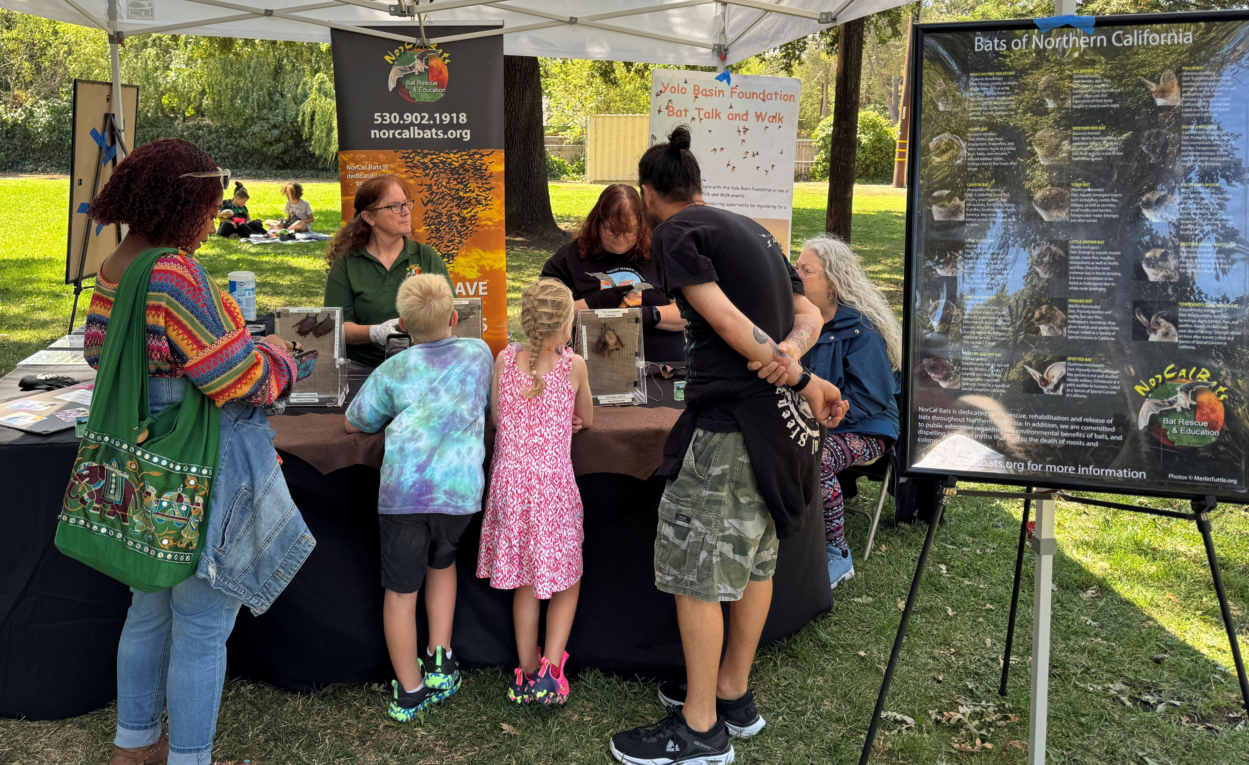 Park Visitors learn about bats from Northern California Bats' Corky Quirk